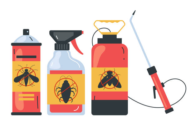 Wasp Removal Services in Cherryland, CA